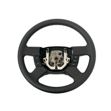Ford Ranger Steering Wheel