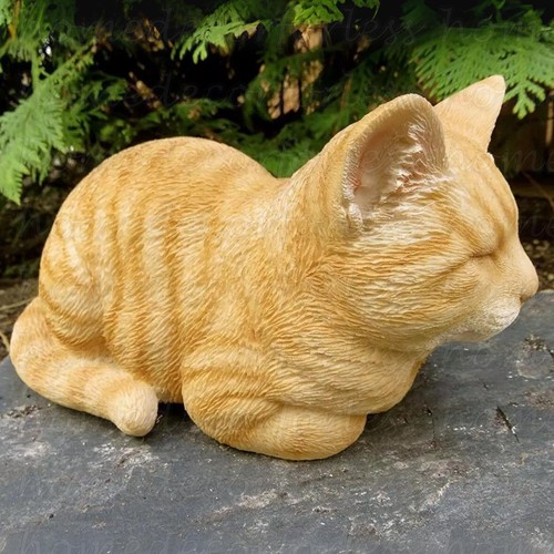 Realistic sleeping orange - realistic,