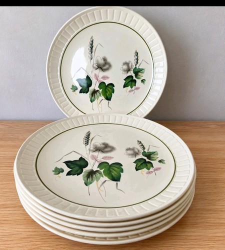 1950s royal worcester palissy - 1950s,
