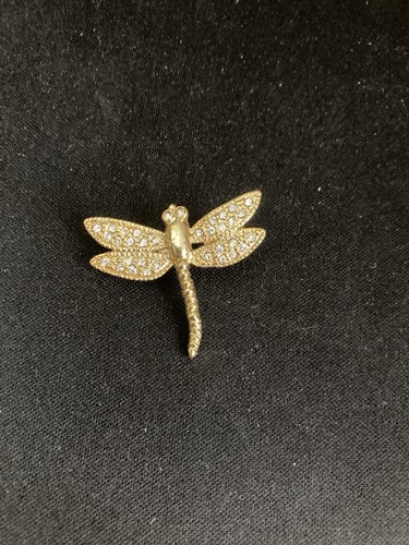 Exquisite stone set dragonfly - stone,