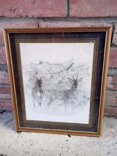 framed picture stag deer sketch