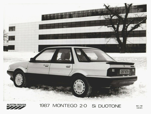Austin montego si duotone - 2.0,