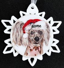 Santa Chinese Crested Hairless