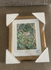stephen gayford limited