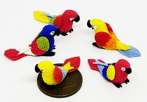 Dolls house mixed parrots set - dolls,