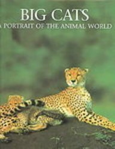 Big cats portrait of the - of,
