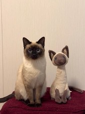 Iris Siamese Cat Soft Stuffed Toys Brand New With Tags Free Dust Bag⭐