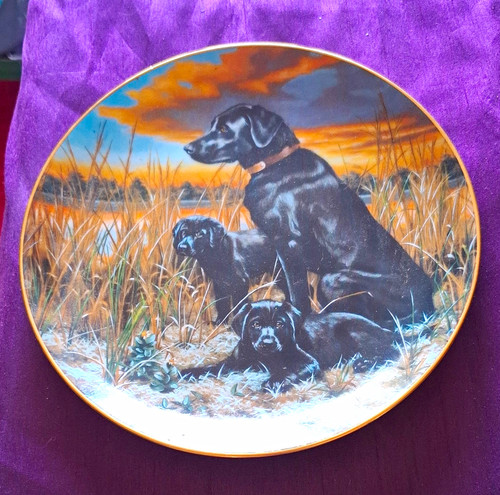 Set hamilton collection - of,