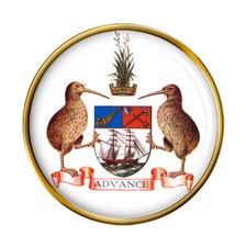 Auckland (New Zealand) Pin