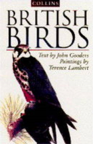 British birds terence - british,