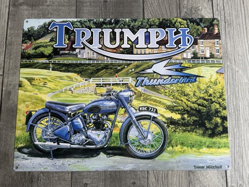 Triumph thunderbird metal - thunderbird,