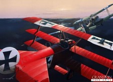 Manfred Von Richthofen The Red Baron aviation Art Post Card  Fokker DR1 Triplane