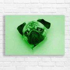 Adorable Pug Puppy Green Canvas Print Large Picture Wall Art