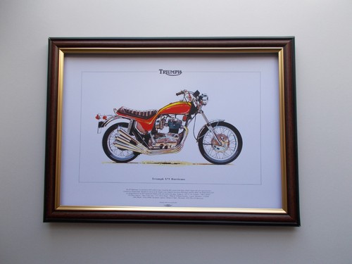 Triumph x75 hurricane motor - triumph,