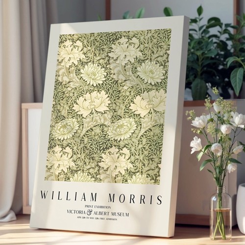 Chrysanthemum william morris - chrysanthemum,