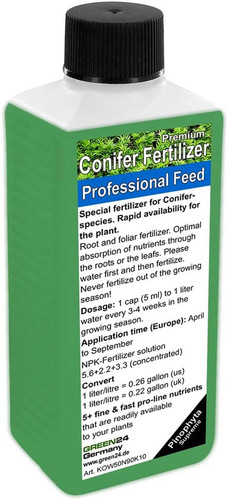 Conifers plant food - plant,