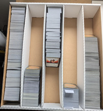 Magic the Gathering Bulk - 250