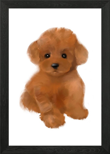Toy poodle mini - , art