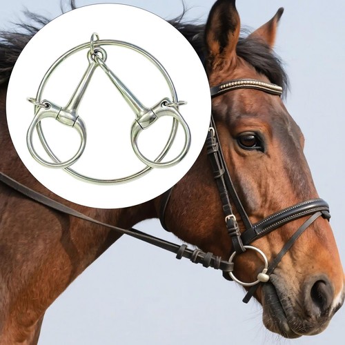 Horse loose ring training - ,