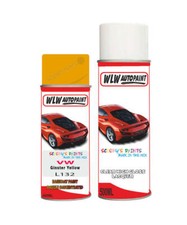 Paint for transporter - paint,