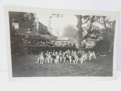 Fox hunt meet hounds dogs - hunt,