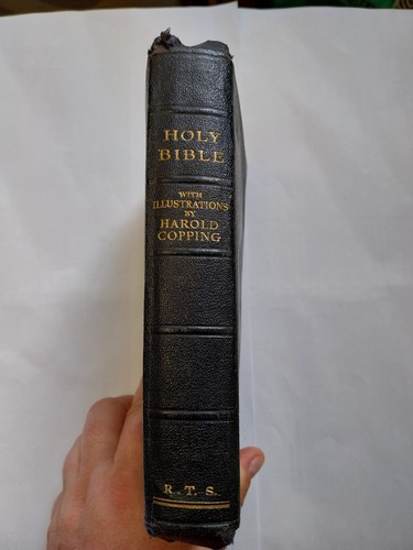 Holy bible cambridge 1800s - bible,