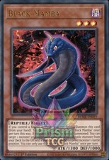 1st ed Black Mamba ultra rare BLMR-EN019 Yugioh