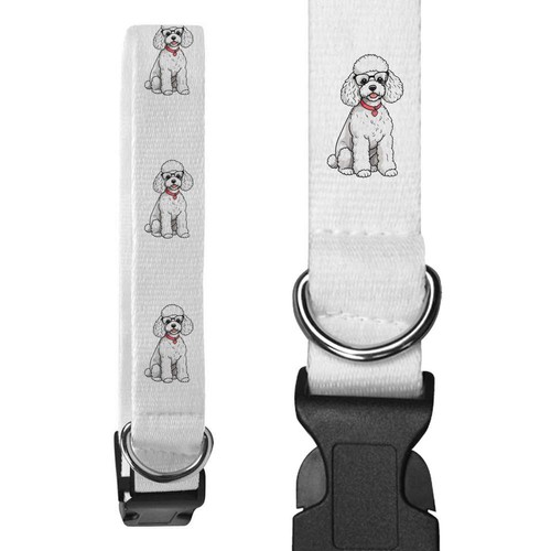 Poodle wearing glasses - 'poodle, dog