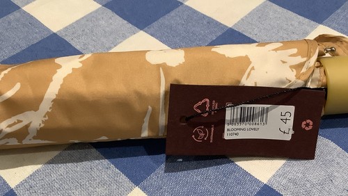 Bnwt radley extendable - bnwt,