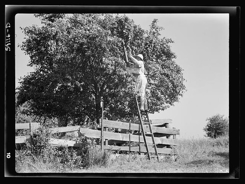 Photo mrs wright - wright, hendricks