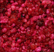 "HIGH MASS FRAGRANT ROSE"