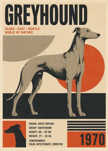 Greyhound print vintage - a4, dog