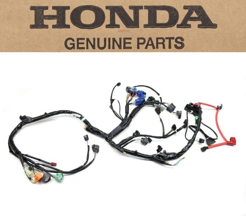 Wire harness foreman trx500 - harness,