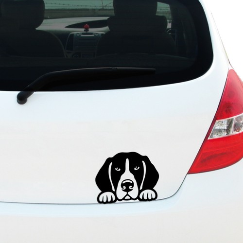 Peeking great dane decal - great,