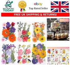 72 Pcs Dried Pressed Flowers