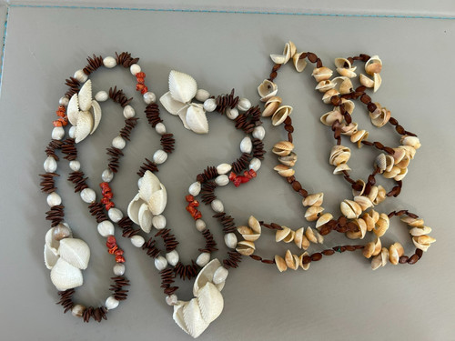 Vintage cowrie shell - 2, cowrie/shell
