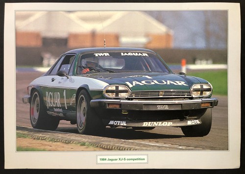 1984 jaguar competition - xj-s,