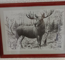Vintage Original Elk Wildlife Sketch Pencil Drawing Framed Art 13"x16" Décor