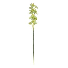 Botanica Green Cymbidium