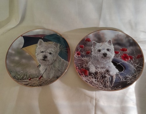 Bone china westies - china,