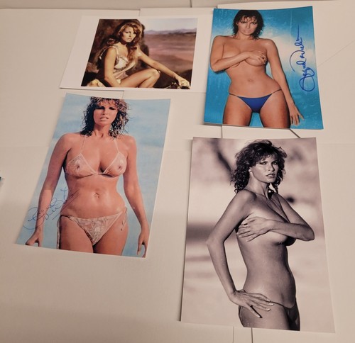 Raquel welch stunning - raquel,