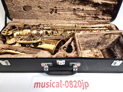 Yanagisawa 500 alto sax - a-500,