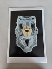 Jurassic Park 3 Screen Used