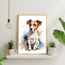 Jack Russell Terrier  Portrait