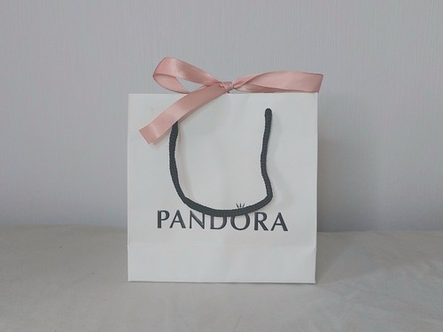 Pandora branded gift - pandora, bag