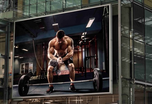 Bodybuilder poster gym man - gym,