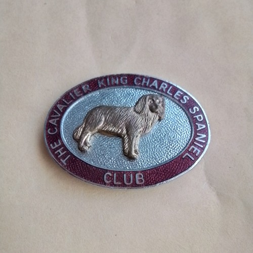 Vintage the cavalier king - cavalier,