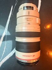 Canon EF 100-400mm f/4.5-5.6L