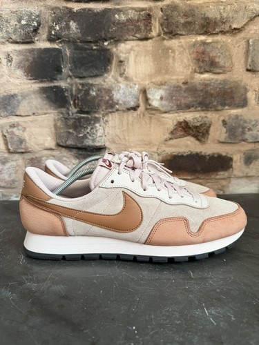Rare 2021 nike air pegasus - v,