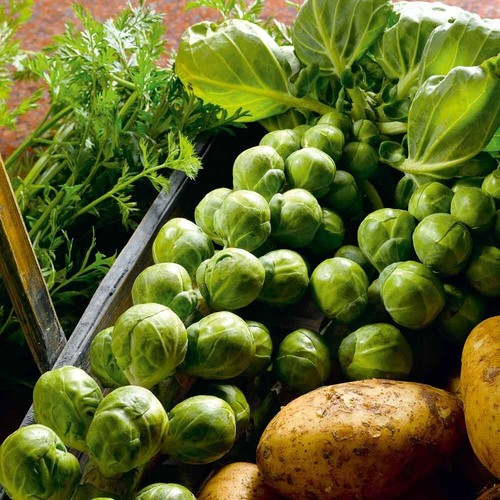 Brussels sprouts evesham - 35,